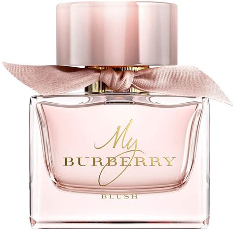 burberry blush bewertung|burberry blush for women.